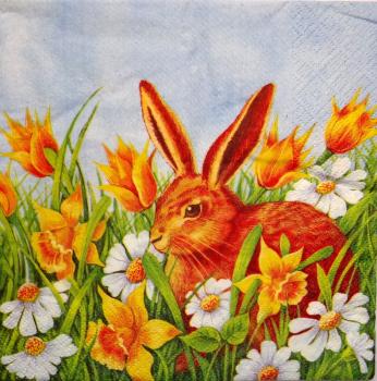 056 Rabbits:  natürlich - 3-ply - Paw
